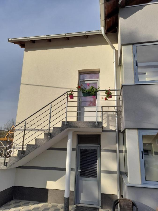 Apartmani Lotus Vrdnik Extérieur photo