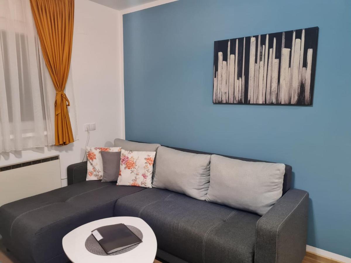 Apartmani Lotus Vrdnik Extérieur photo