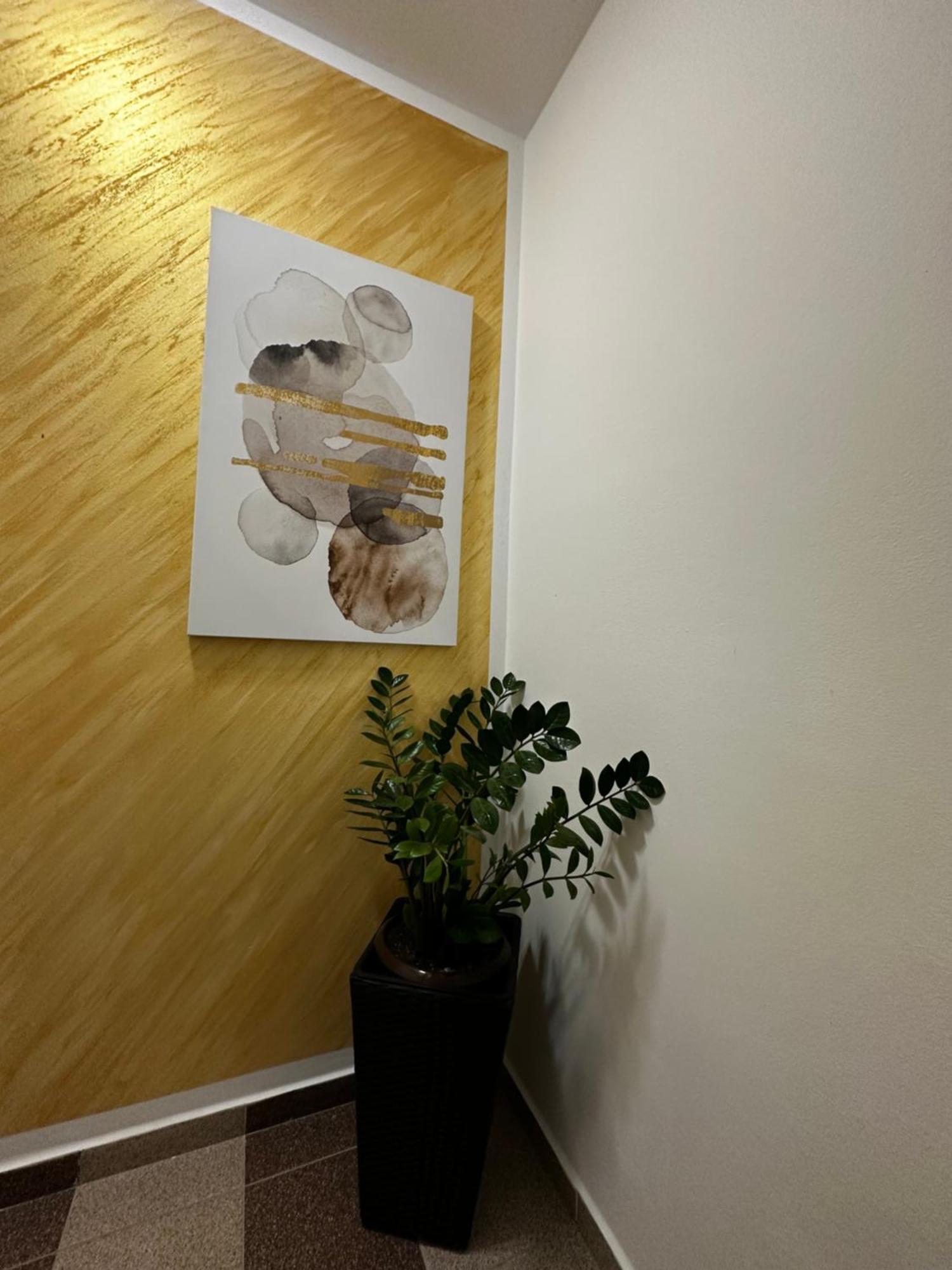 Apartmani Lotus Vrdnik Extérieur photo